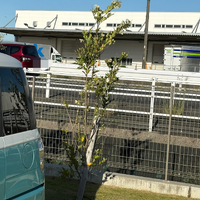 画像1070