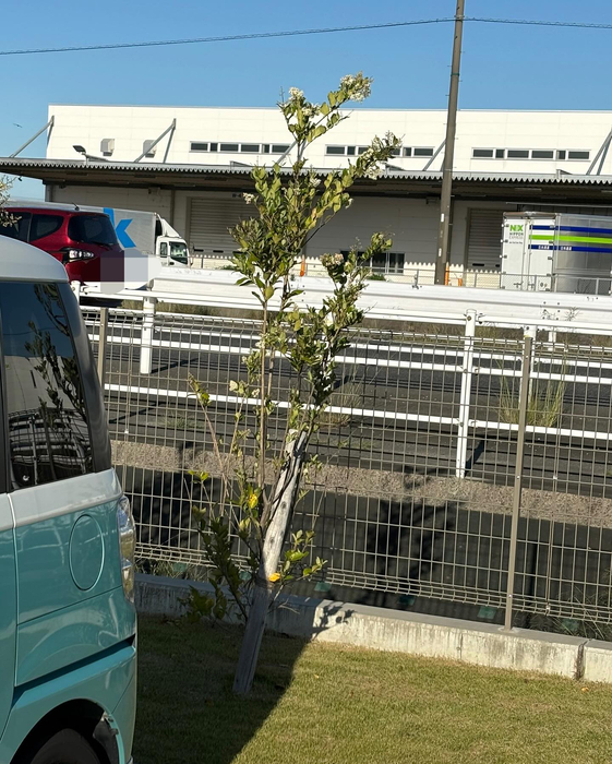 画像1070