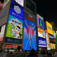 画像1264