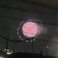 画像462