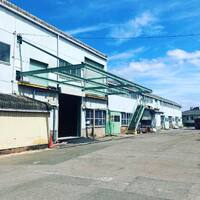 画像529