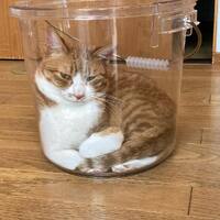 画像667