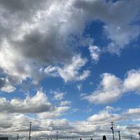 画像716