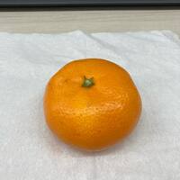 画像753