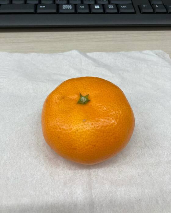 画像753